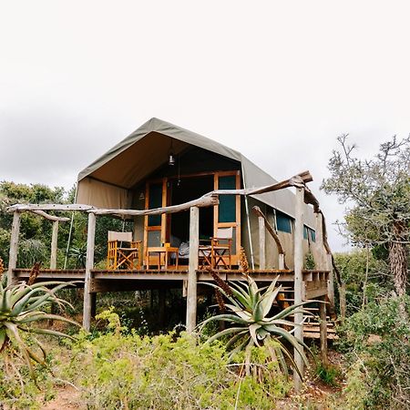 Woodbury Tented Camp - Reserva de Amakhala Exterior foto