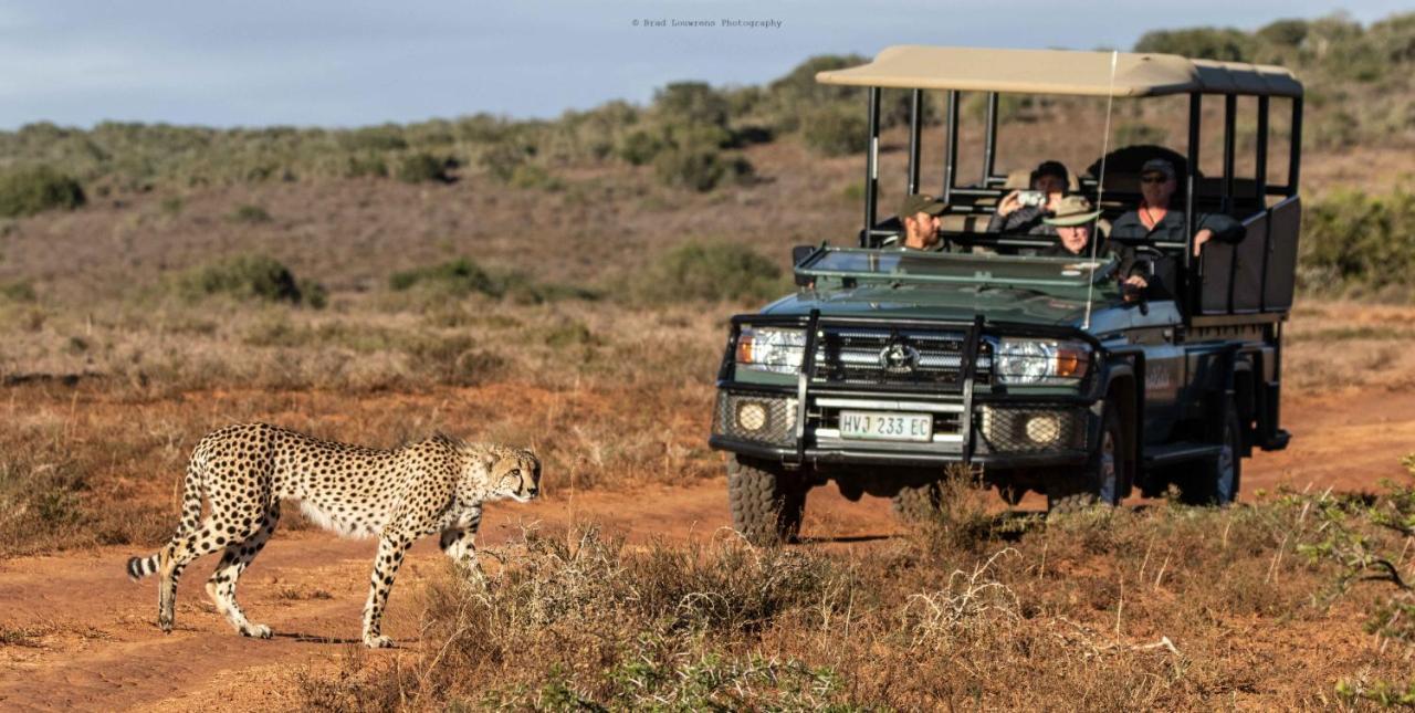 Woodbury Tented Camp - Reserva de Amakhala Exterior foto