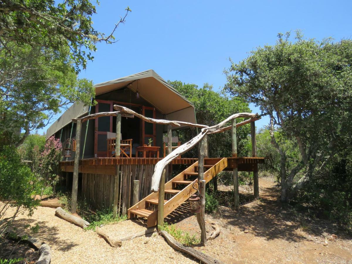 Woodbury Tented Camp - Reserva de Amakhala Exterior foto